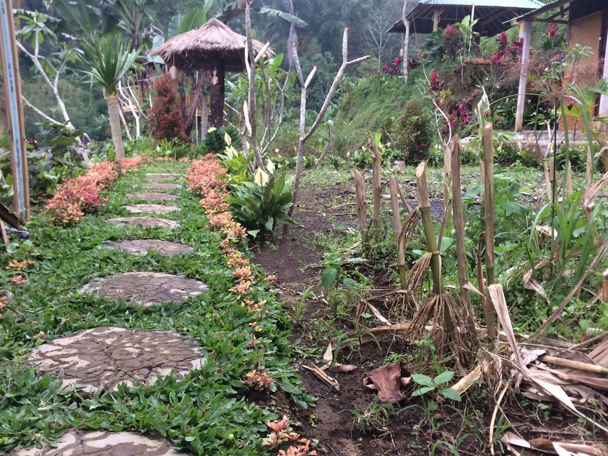 브두굴 Bali Tree House Pelangi 아파트 외부 사진