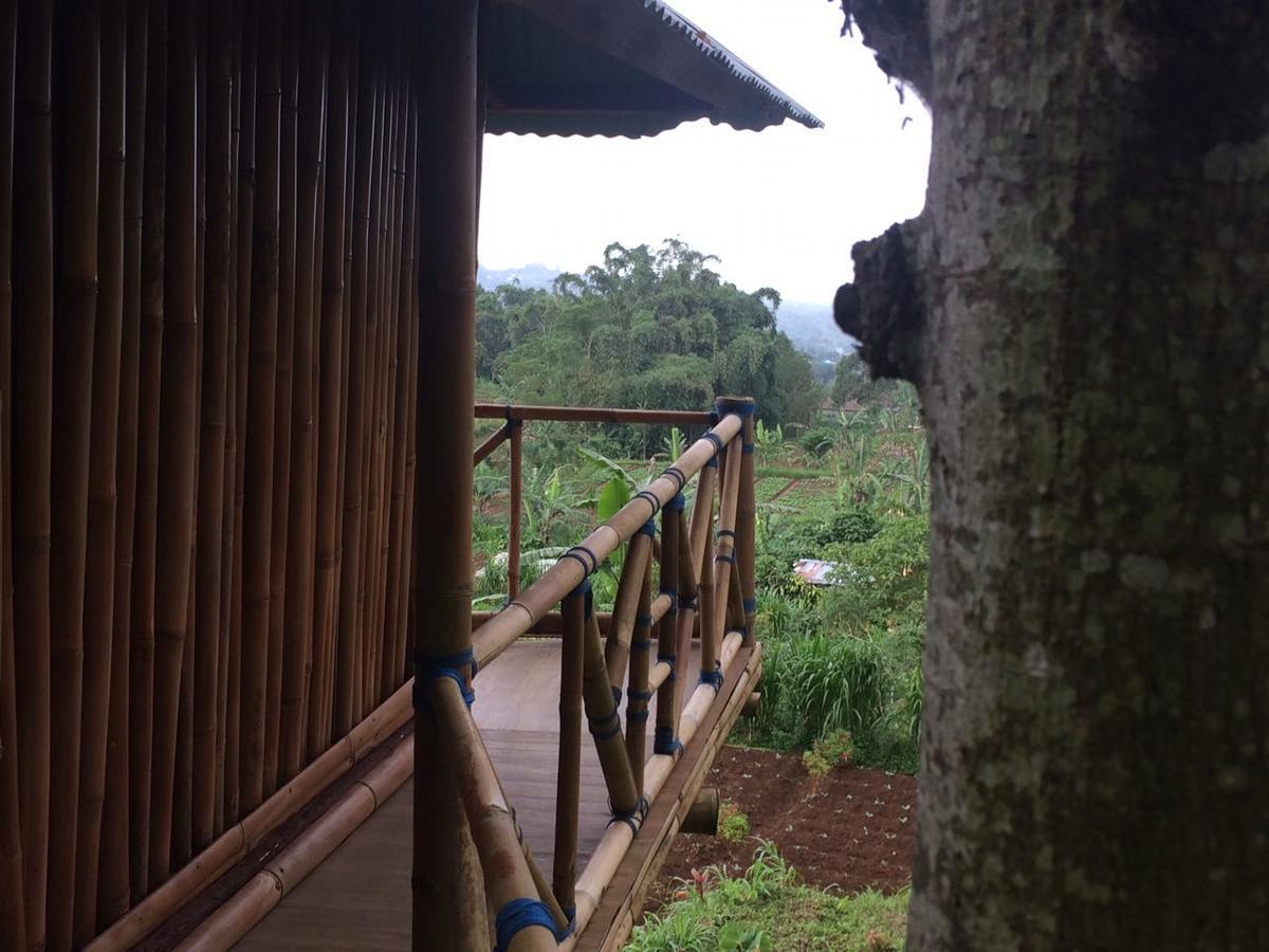 브두굴 Bali Tree House Pelangi 아파트 외부 사진