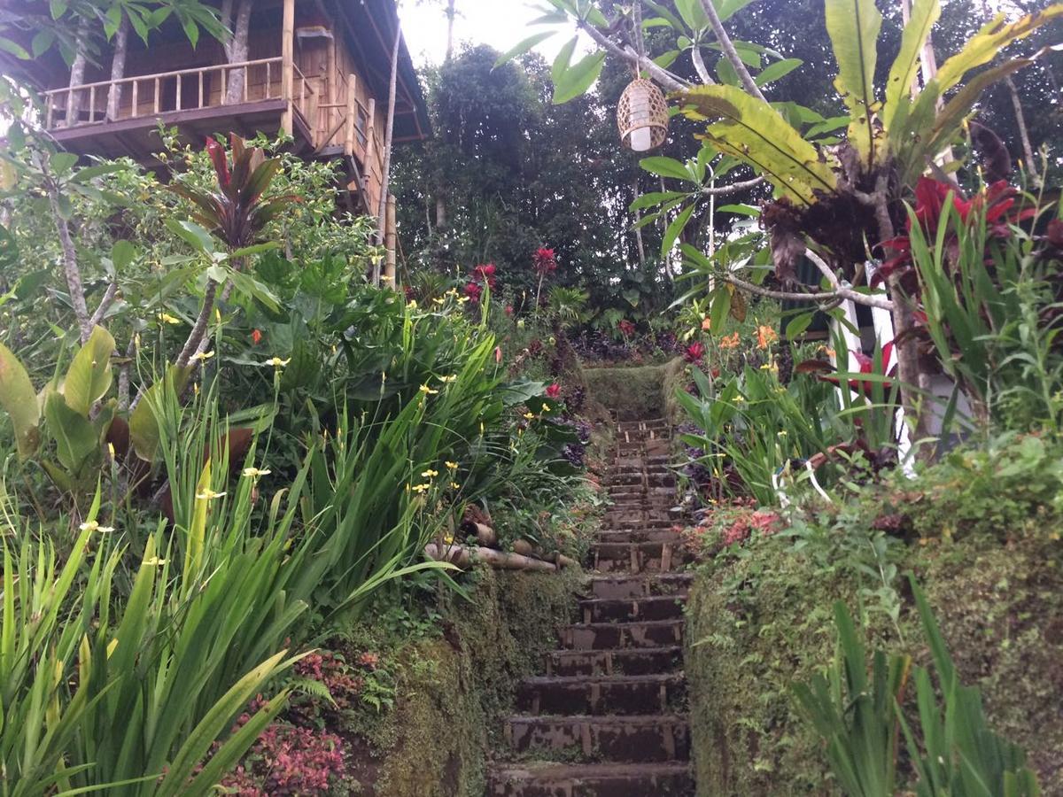 브두굴 Bali Tree House Pelangi 아파트 외부 사진