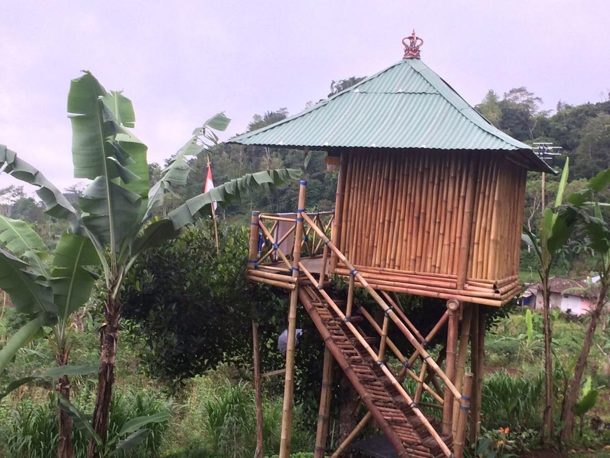 브두굴 Bali Tree House Pelangi 아파트 외부 사진