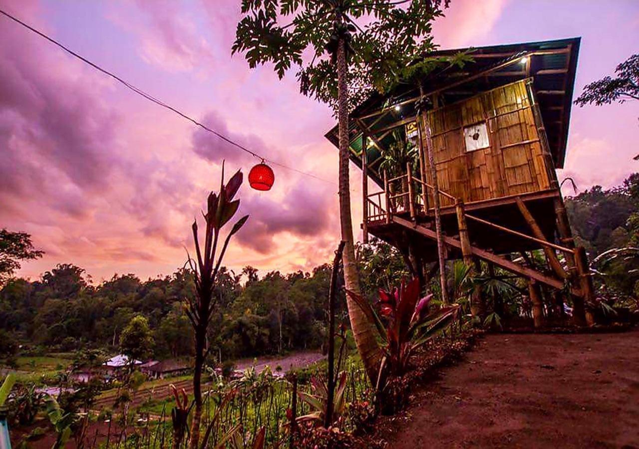 브두굴 Bali Tree House Pelangi 아파트 외부 사진