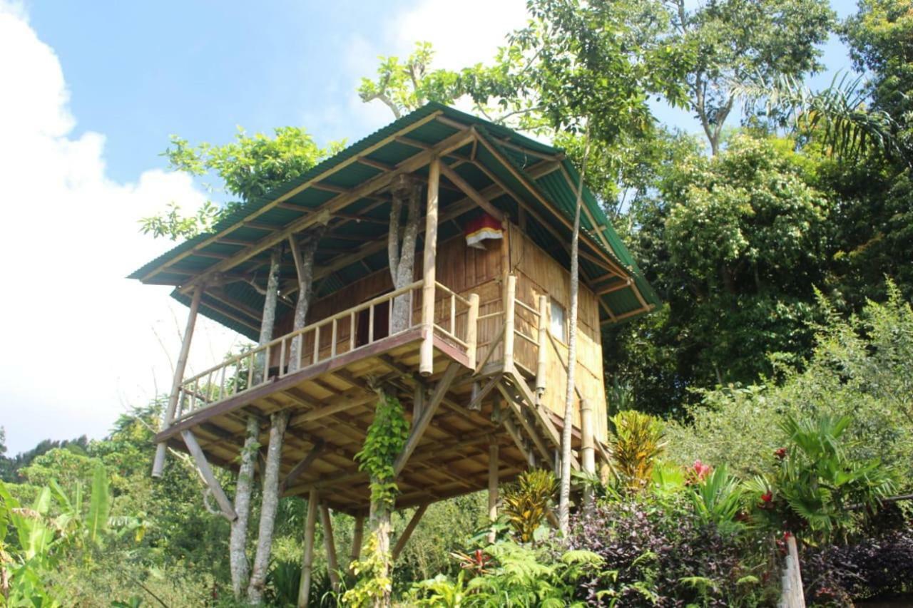 브두굴 Bali Tree House Pelangi 아파트 외부 사진