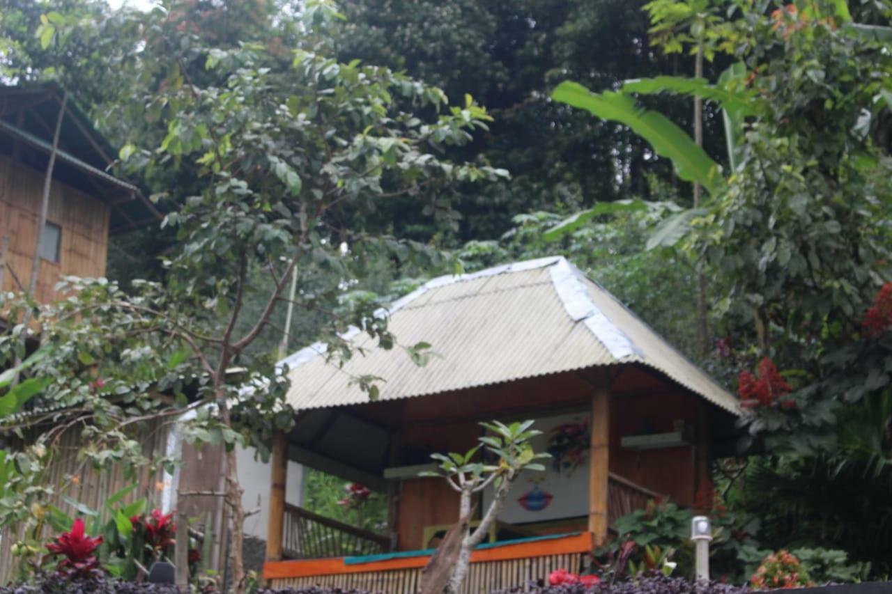 브두굴 Bali Tree House Pelangi 아파트 외부 사진