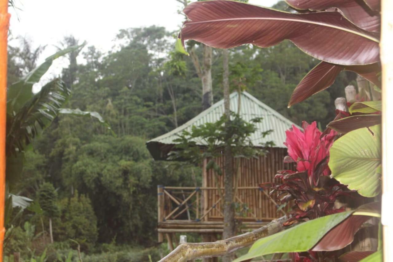 브두굴 Bali Tree House Pelangi 아파트 외부 사진