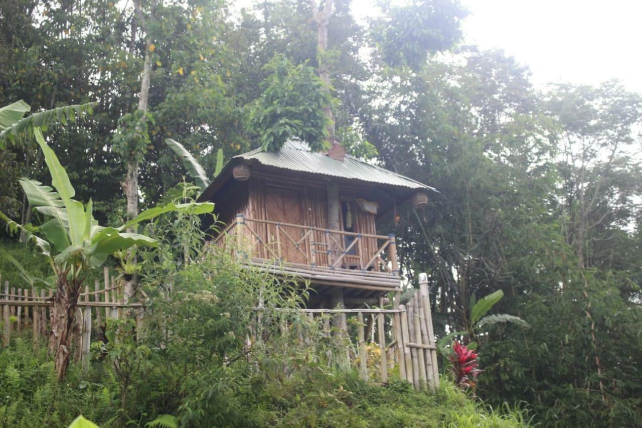 브두굴 Bali Tree House Pelangi 아파트 외부 사진