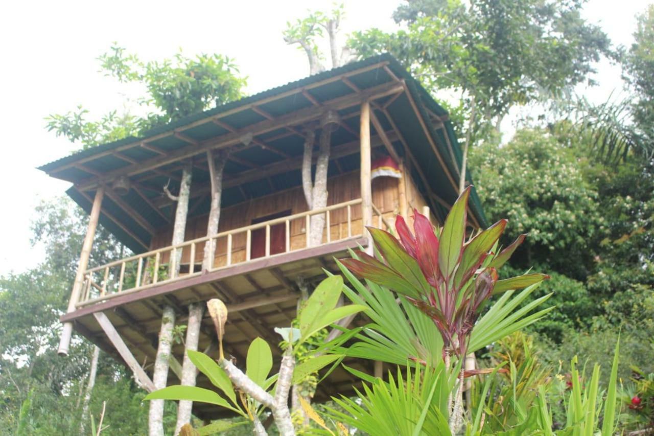 브두굴 Bali Tree House Pelangi 아파트 외부 사진