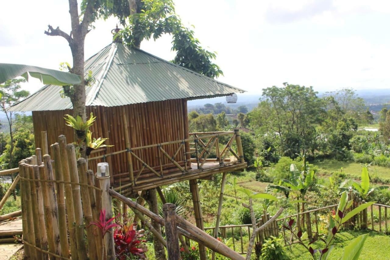 브두굴 Bali Tree House Pelangi 아파트 외부 사진