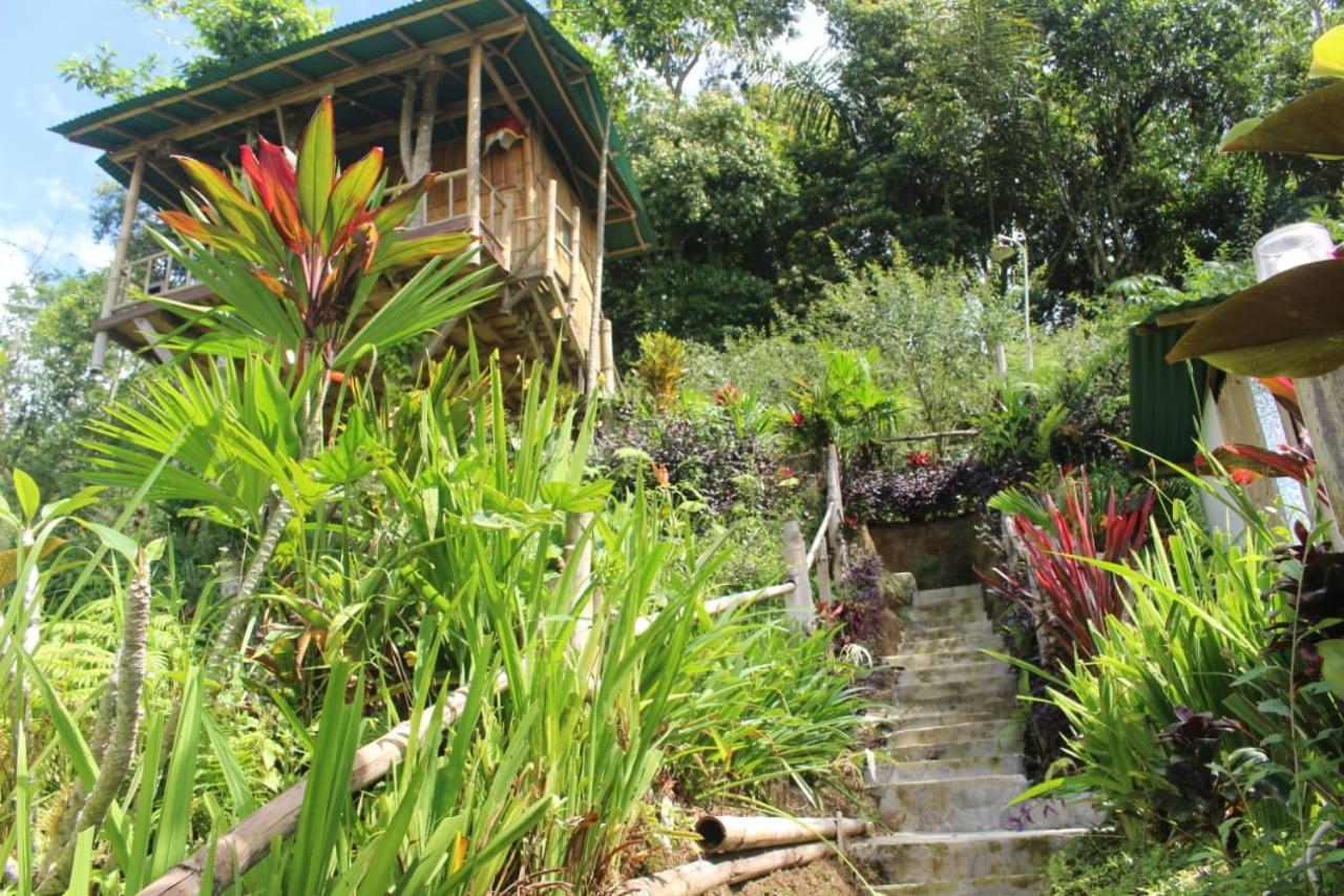 브두굴 Bali Tree House Pelangi 아파트 외부 사진
