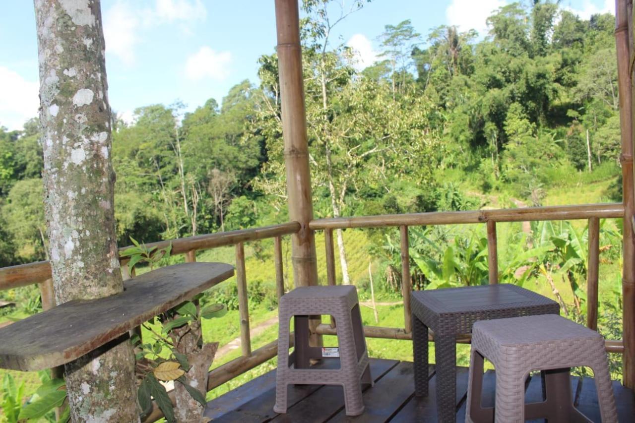 브두굴 Bali Tree House Pelangi 아파트 외부 사진