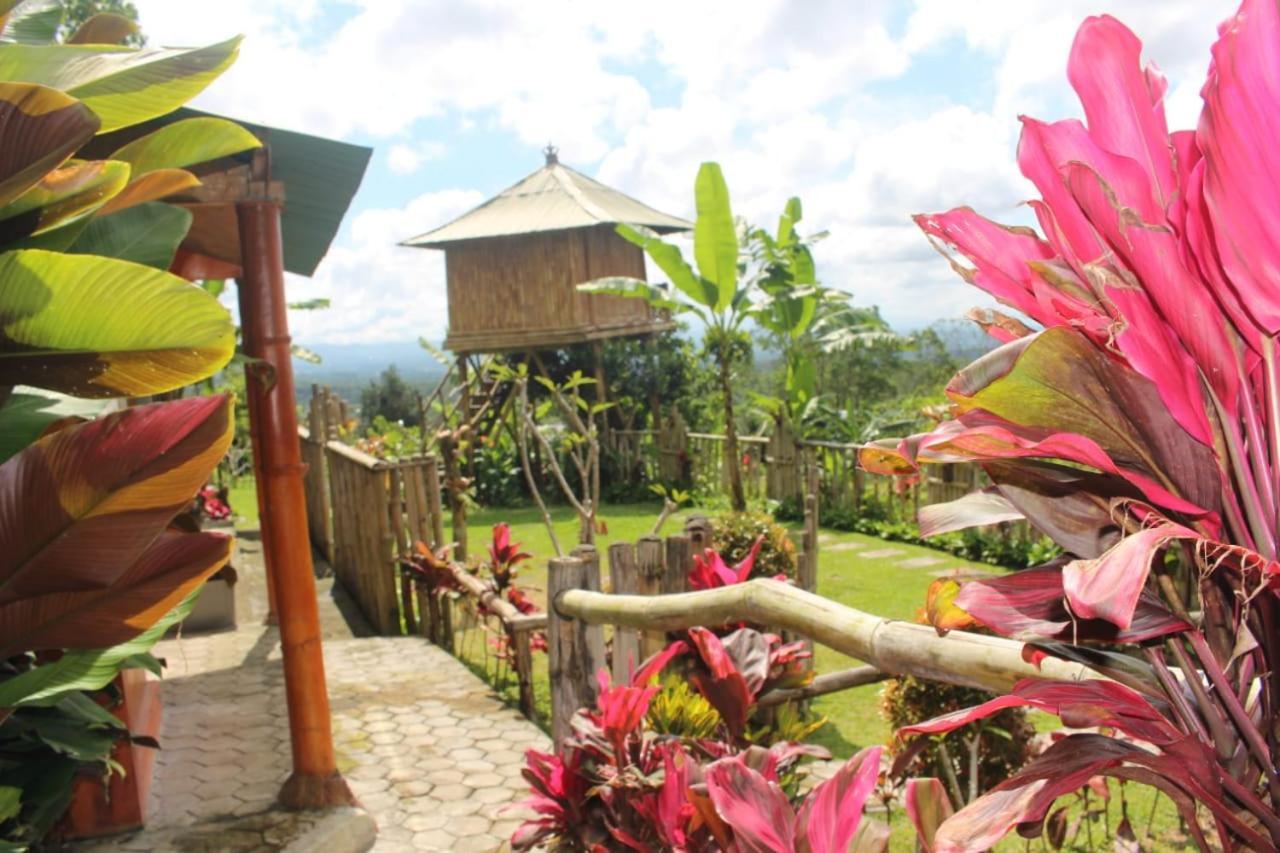 브두굴 Bali Tree House Pelangi 아파트 외부 사진