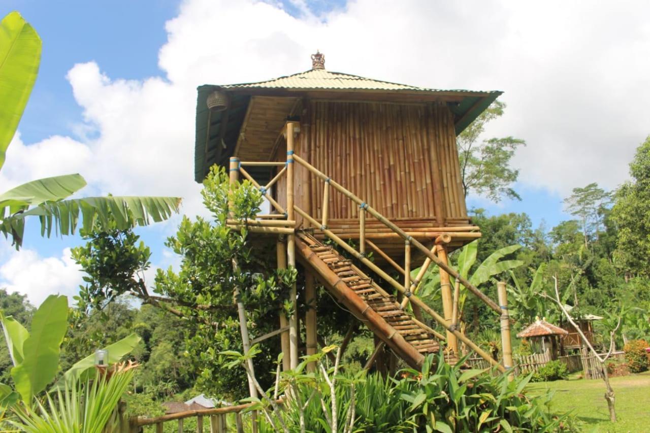 브두굴 Bali Tree House Pelangi 아파트 외부 사진