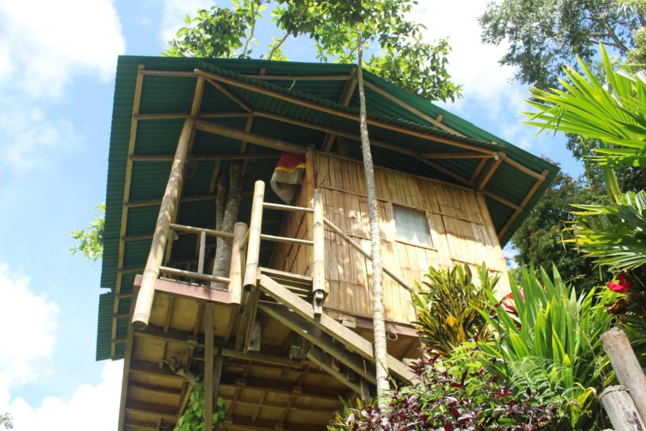 브두굴 Bali Tree House Pelangi 아파트 외부 사진
