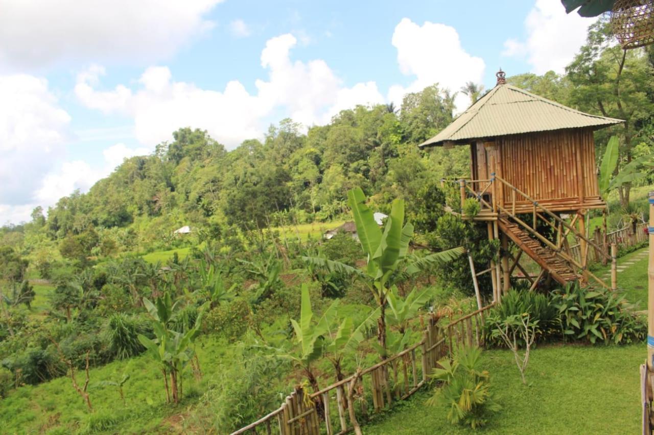 브두굴 Bali Tree House Pelangi 아파트 외부 사진