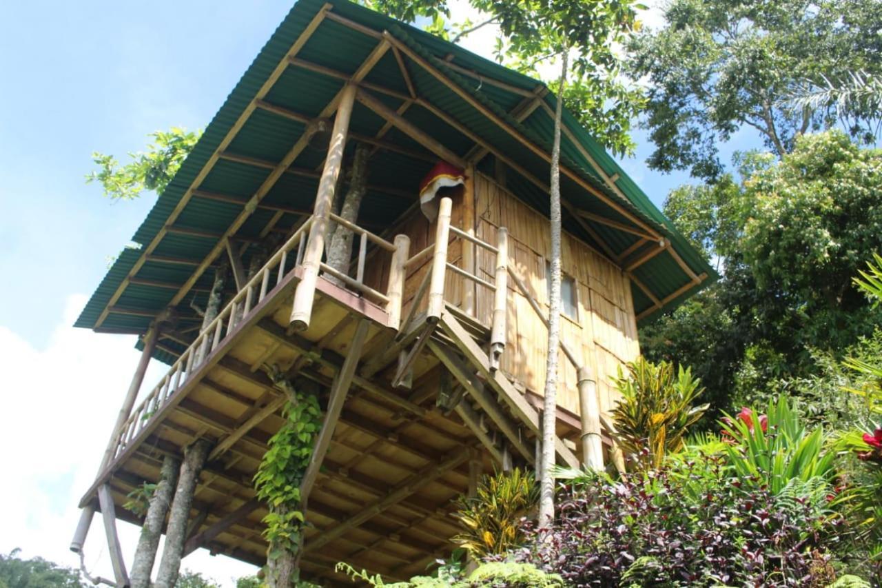 브두굴 Bali Tree House Pelangi 아파트 외부 사진
