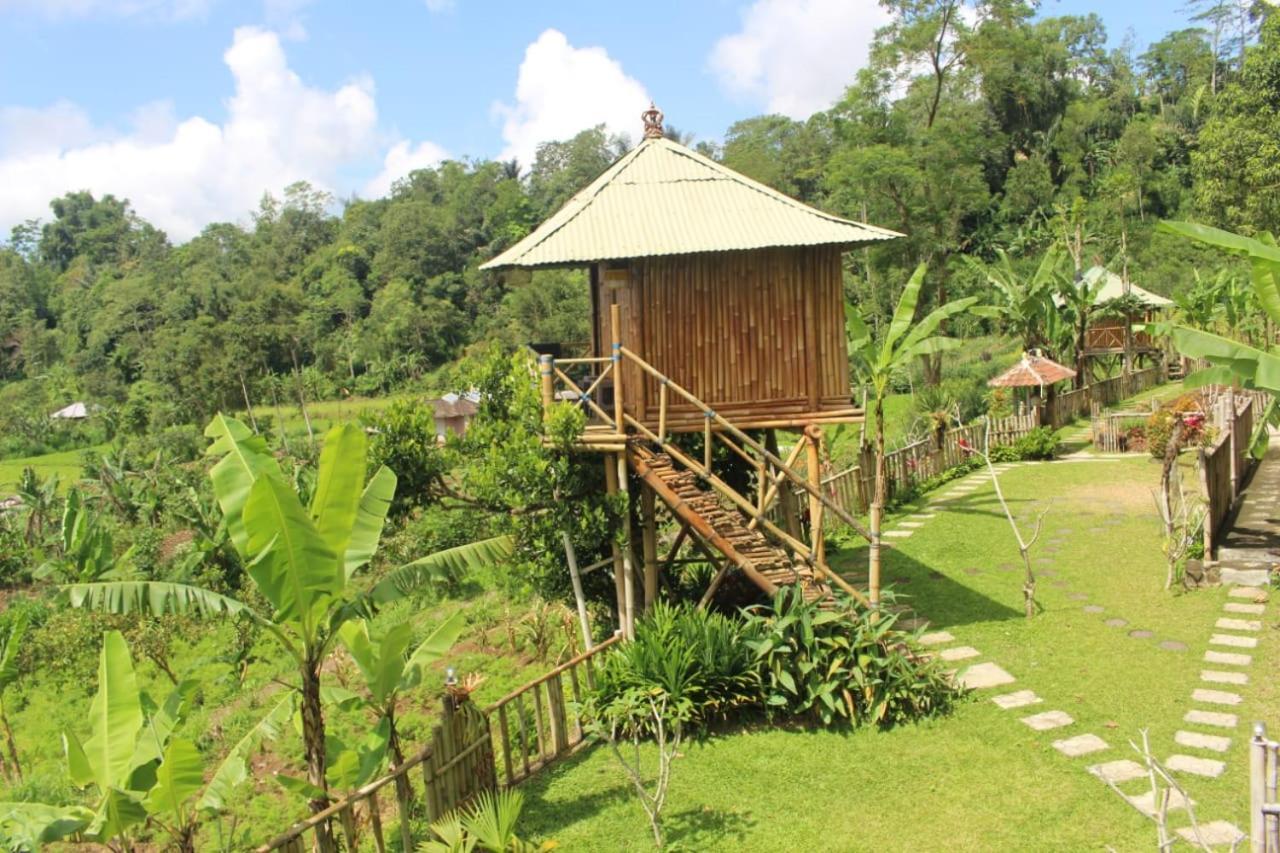 브두굴 Bali Tree House Pelangi 아파트 외부 사진