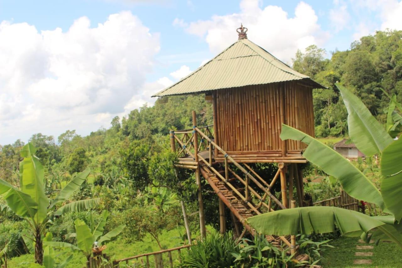 브두굴 Bali Tree House Pelangi 아파트 외부 사진