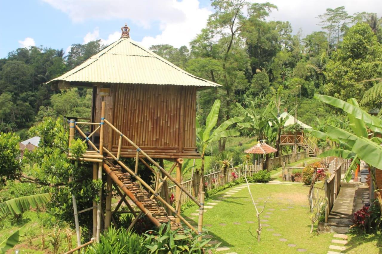 브두굴 Bali Tree House Pelangi 아파트 외부 사진