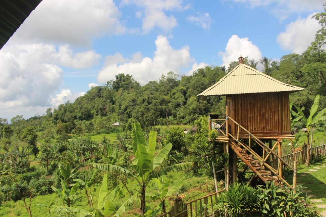 브두굴 Bali Tree House Pelangi 아파트 외부 사진